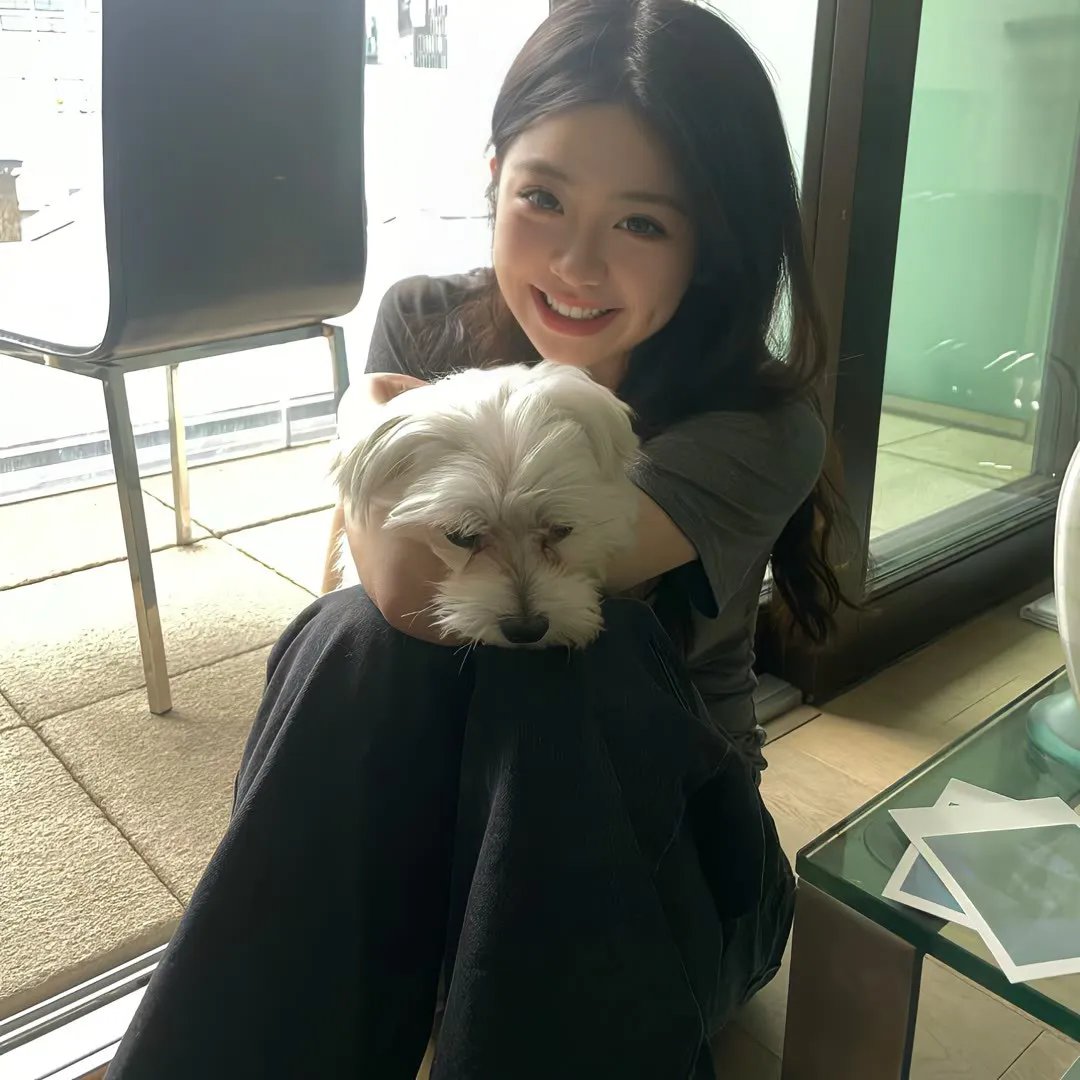 缉拿杨枪枪